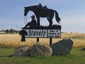 horse-stavely-300x225